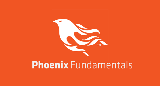 Phoenix Fundamentals